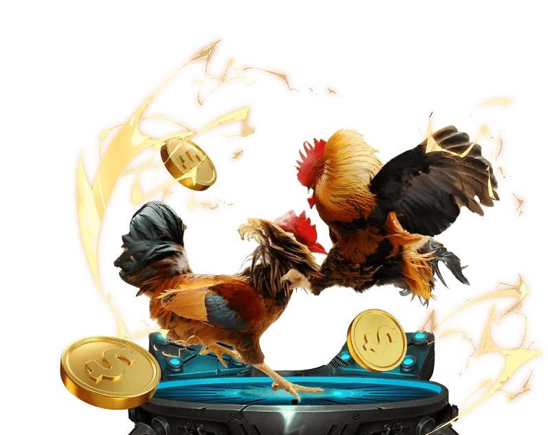 Đá gà trực tuyến ABC8 với các trận đấu kịch tính từ các đấu trường lớn